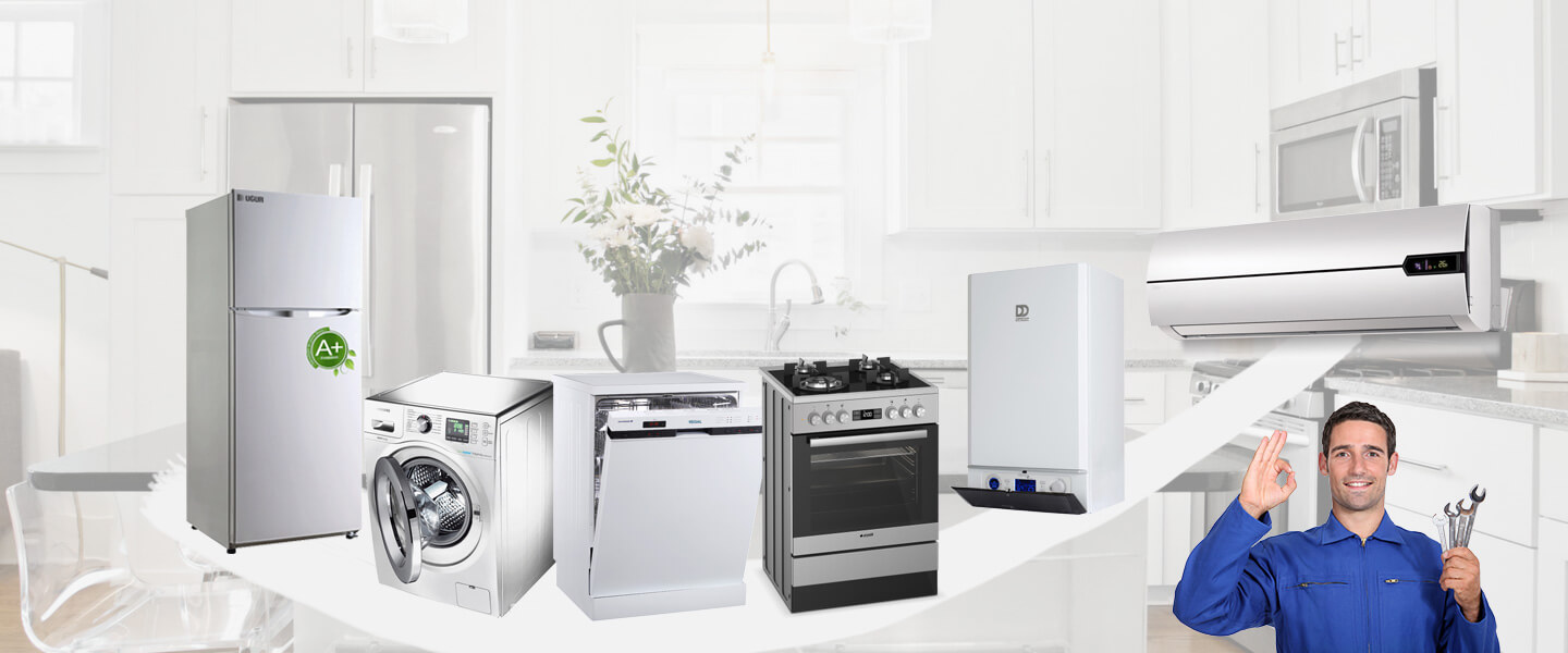 Aybastı Gorenje Servisi